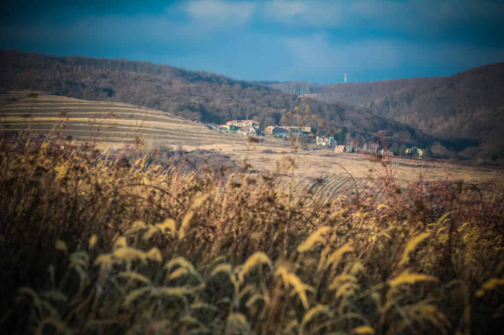 Predané: Rozostavaná luxusná vila na konci Limbachu-11