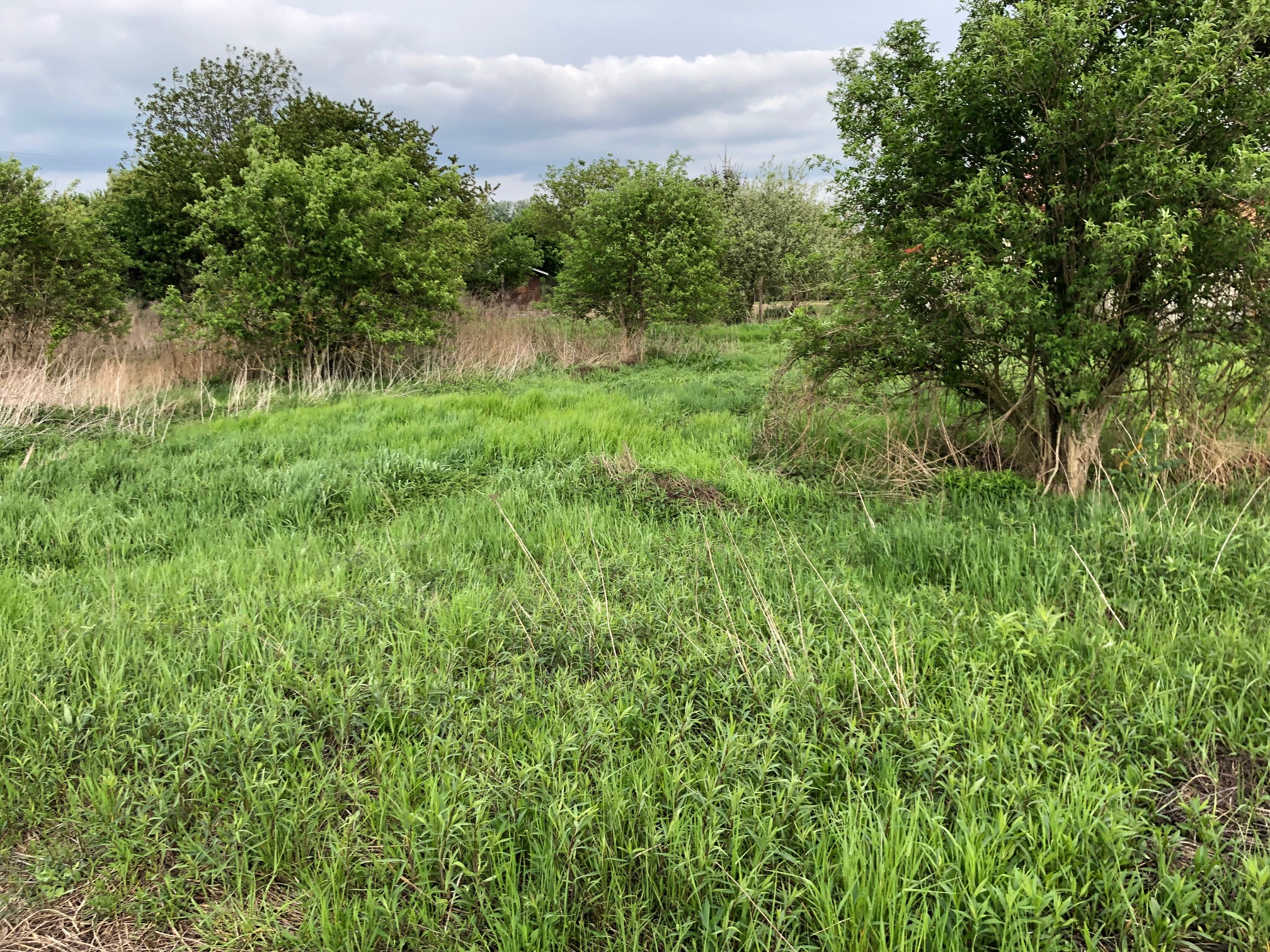 Predané: Pozemok pre výstavbu RD, Čunovo, Dolné kostolné polia, 1000m2-10