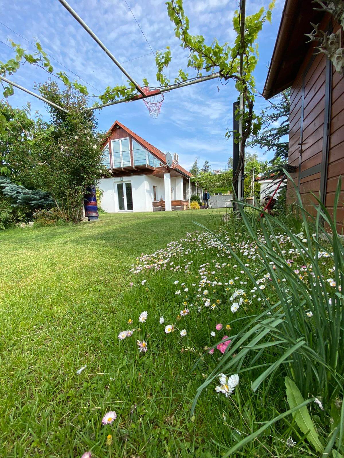 Predané: Predaj Rodinný dom v Šoporni, v tichej lokalite, pozemok 674m2, úžitková plocha 181m2,záhrada, kôlňa-2