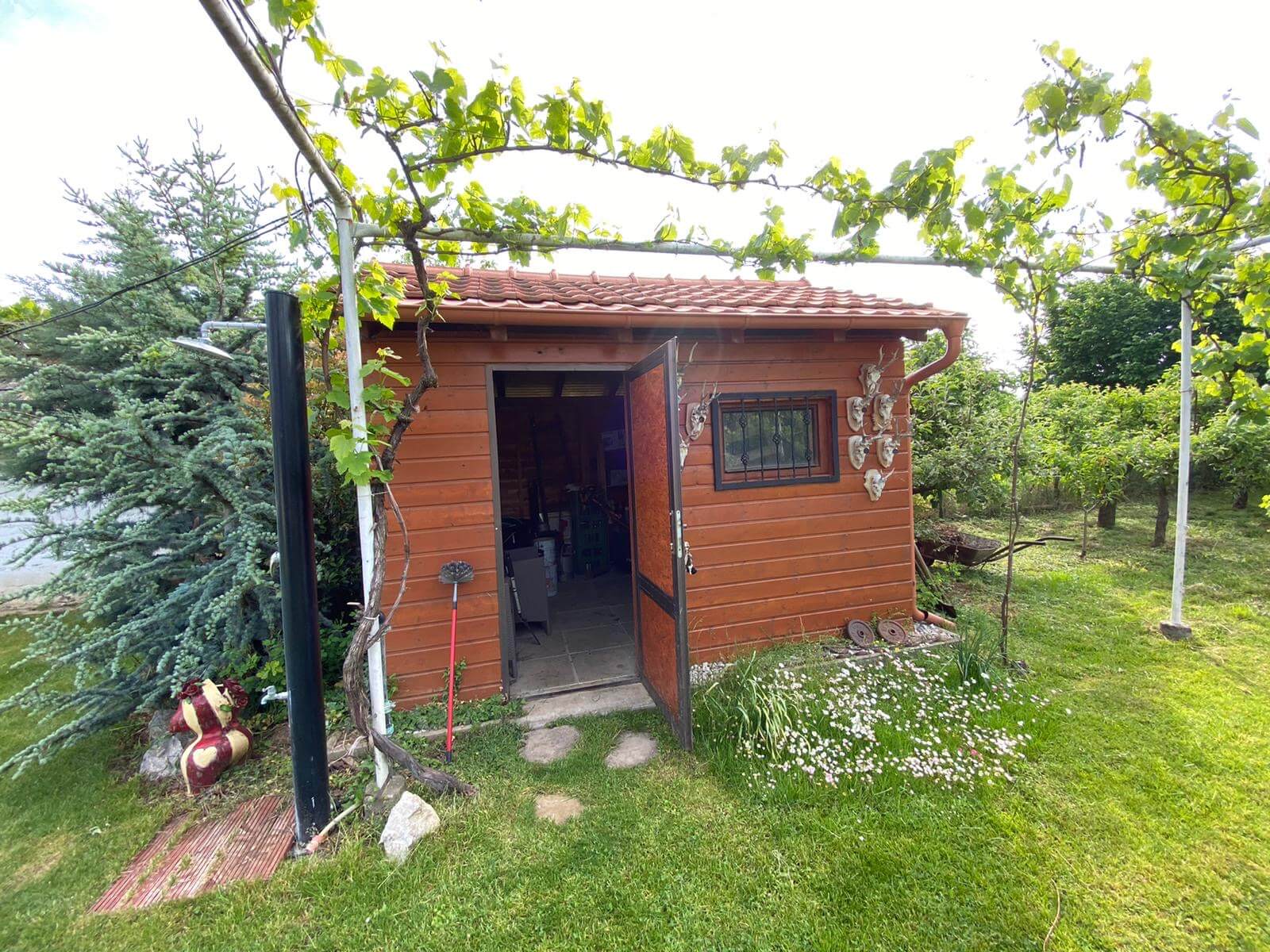 Predané: Predaj Rodinný dom v Šoporni, v tichej lokalite, pozemok 674m2, úžitková plocha 181m2,záhrada, kôlňa-15