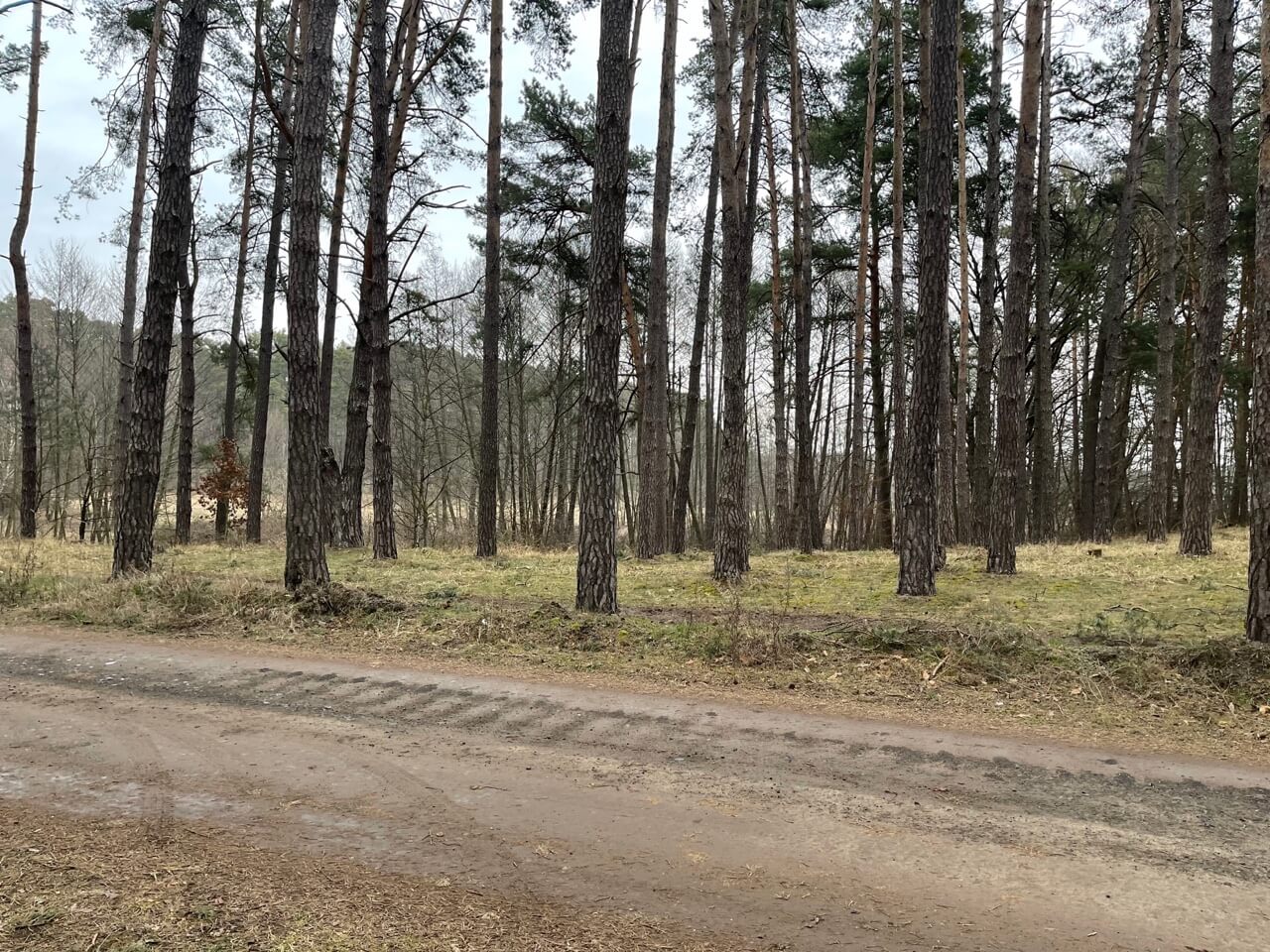Predané: Rybník, orná pôda, trvalé trávnaté porasty spolu 9 541,9 m2, Tančiboky, pri Studienke, za Malackami-4
