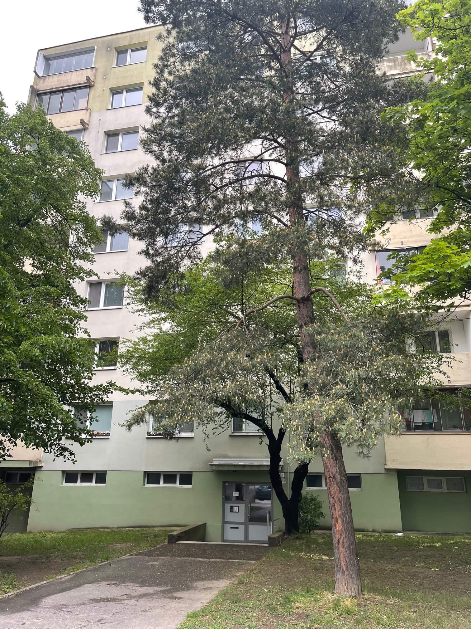 Predané: Exkluzívne na predaj zrekonštruovaný 2 izbový byt, 48m2, Fedáková 12, Dúbravka, pri OC Saratov-2